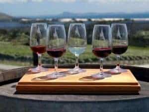 Wine tasting
